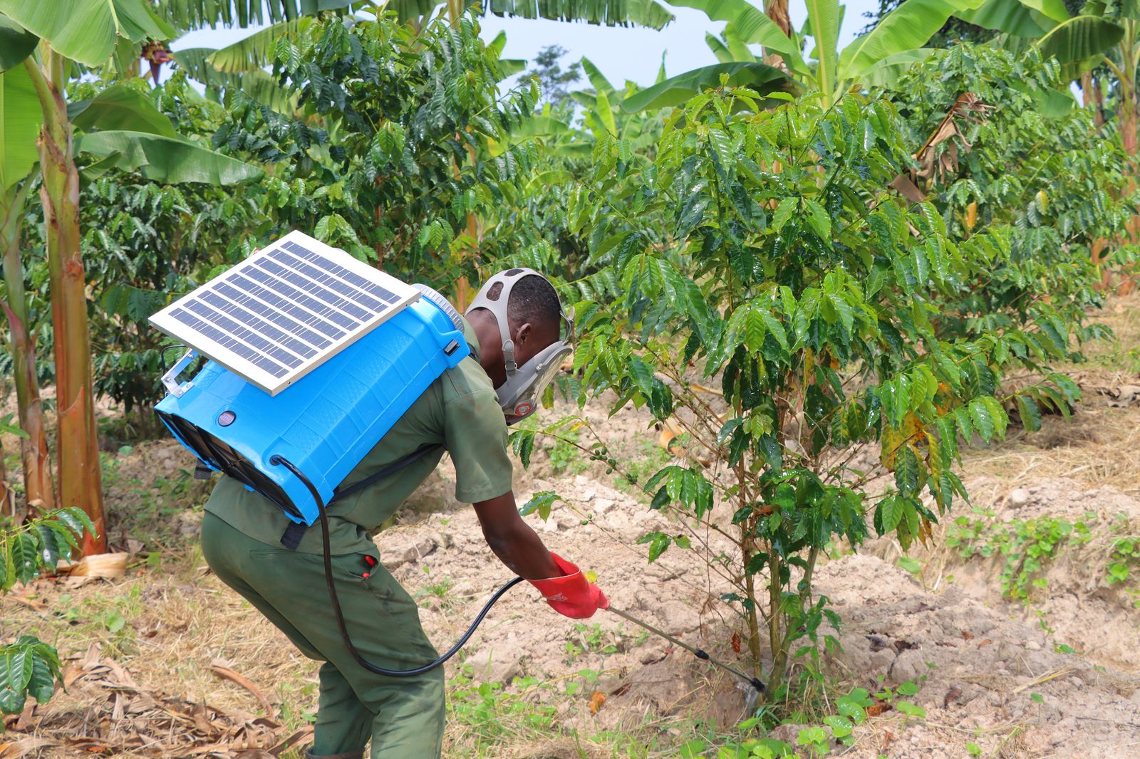 Solar-powered knapsack sprayers
